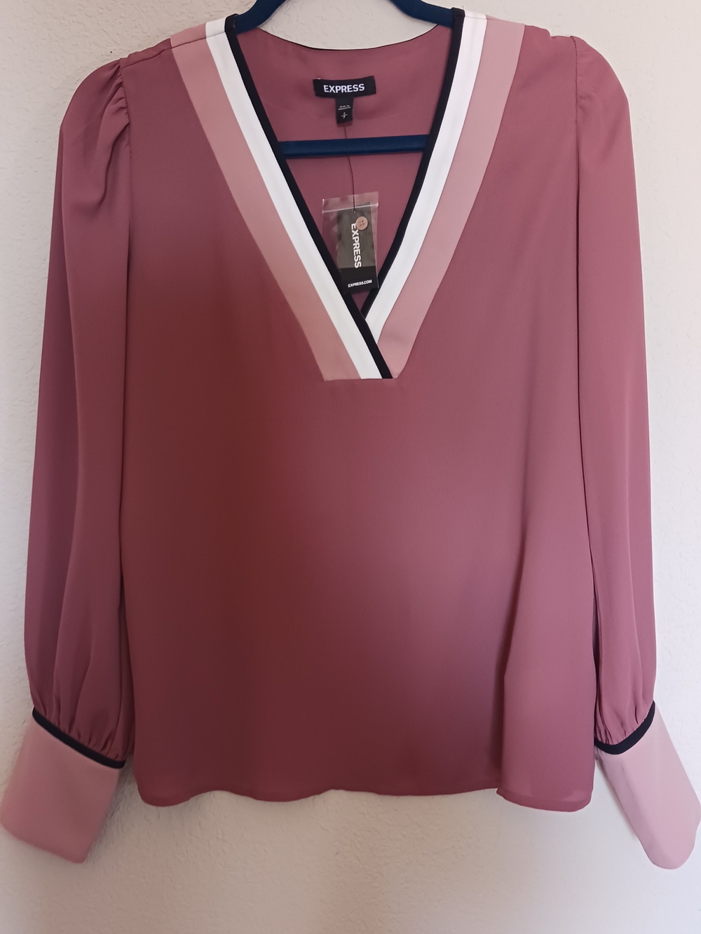 Express Mauve V-Neck Long Sleeve Blouse with Contrast Trim